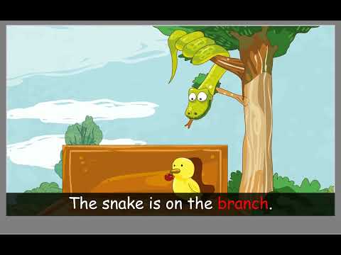 EFL Phonics 4 Unit 7 Story - ch sh