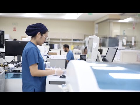 Four Principles Client Testimonial - Habib Medical Group