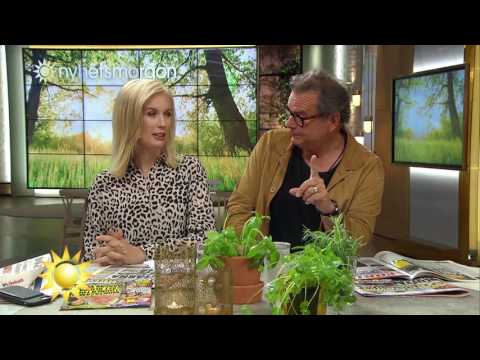 Steffos fina gest till hustrun - Nyhetsmorgon (TV4)