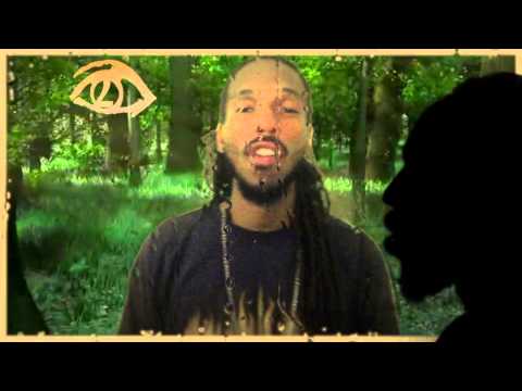 KALIK SCIENTIFIC - THE REBIRTH