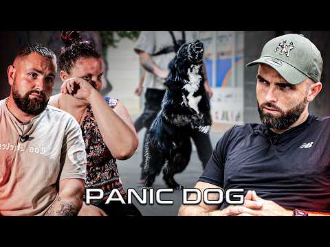 "Mon chien est devenu un CR!MINEL !" - Chien AGRESSIF HUMAIN - Panic Dog Ep17