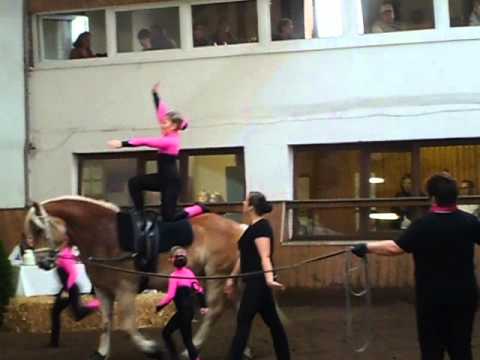 Volti Kür der Kombi-Gruppe auf dem Turnier in Visbek