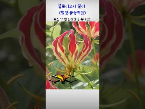 메디체크 - 꽃으로 하는 약 복용 체크 video thumbnail