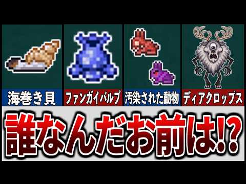 【テラリア】空気過ぎて不遇なボス・モンスターを徹底解説【ゆっくり解説】