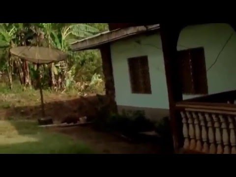 Kitchu Community Water Project