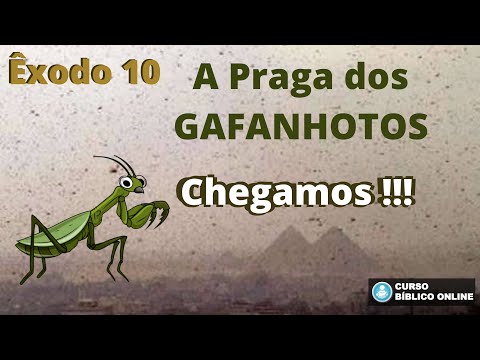 Exodus 10 - The Locusts Are Coming...