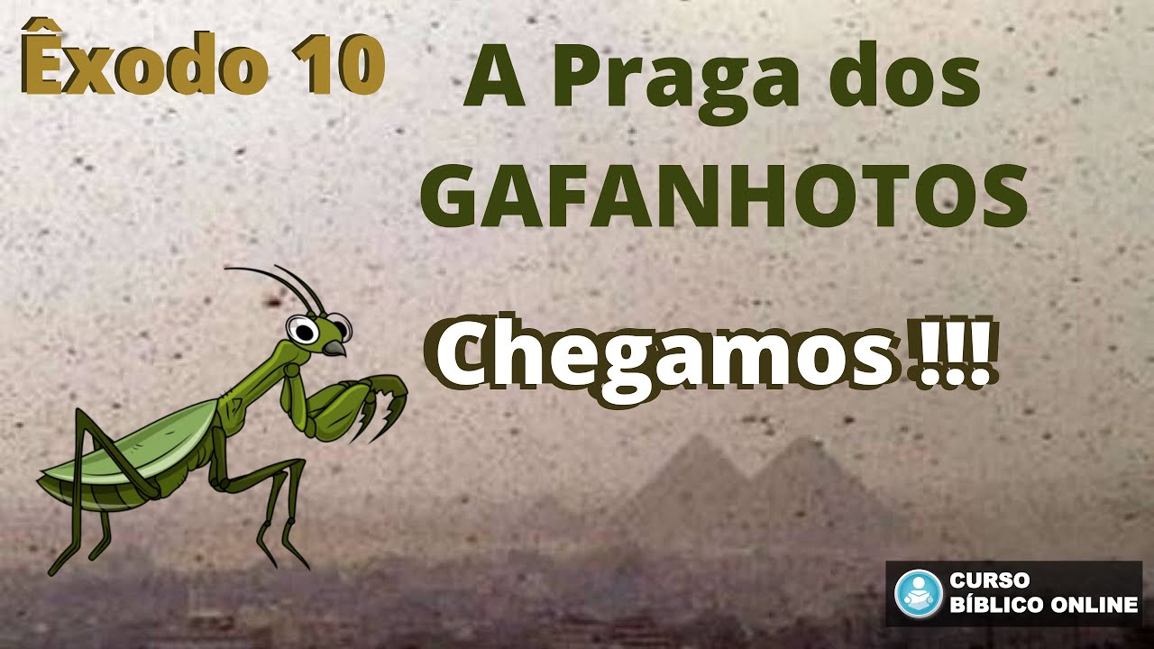 Êxodo 10 - Os Gafanhotos vem aí ...