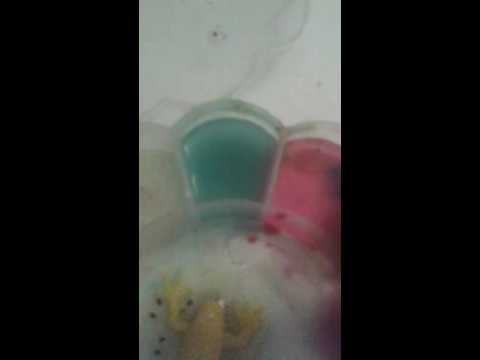 Ein Experement Schleim, Furzschleim, Traubenzuckerln, nimm2, knistern