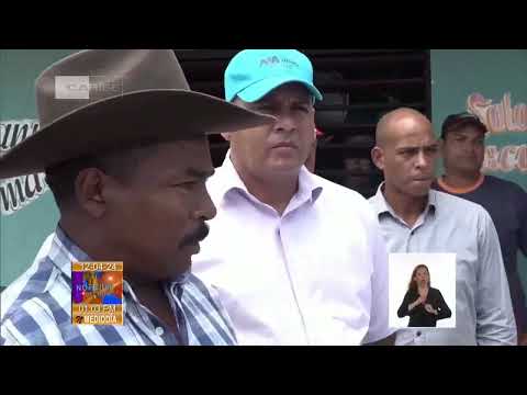 Presidente de Cuba chequea actividad agropecuaria en Jiguaní