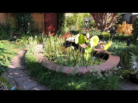 Vlad Girshevich - In Conversation with the Garden Part 1