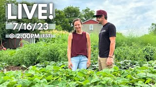 We Dump Milk in Our Garden?!