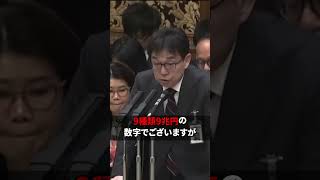 宝石は消費税だけ、車は9種類9兆円