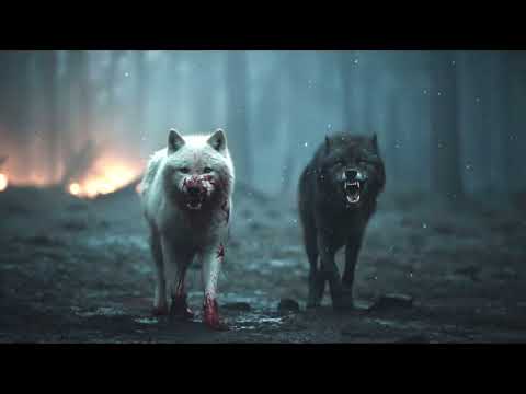 GERI AND FREKI  Unleash The Wolves of Odin | Epic Viking Song