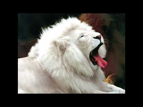 Black Uhuru - Positively  dub