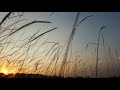 Relaxing Music Sound Of The Wind