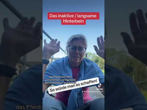 Problem: langsames Hinterbein | so lernt es Dein Pferd!