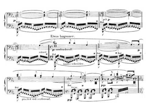CICLO WAGNER \
