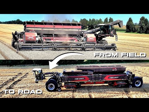 **TOP** NEXAT - NEXCO | MacDon FD250 | Fendt 620 | 🇩🇪 DT25