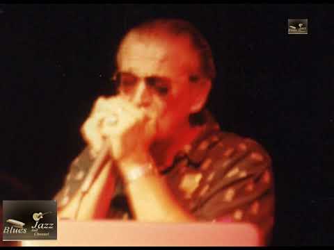 Charlie Musselwhite  Band