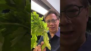 Download lagu Thie Veggie Can Help Your Brain Heal After a Stroke | Dr. William Li mp3 Download lagu Thie Veggie Can Help Your Brain Heal After a Stroke | Dr. William Li mp3