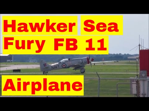 Hawker Sea Fury FB 11 Airplane