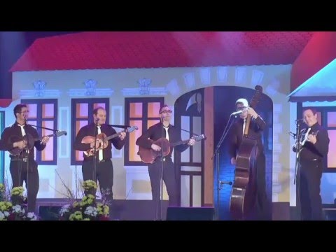 TS BEGEŠ - Do jeseni ženit ću te - Live