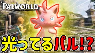 突然光り輝くでっかいパルが出現！通常との違いは！？【パルワールド/PALWORLD】#5