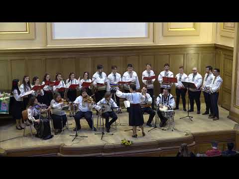 Floralia - Amărâtă turturică (Anton Pann)