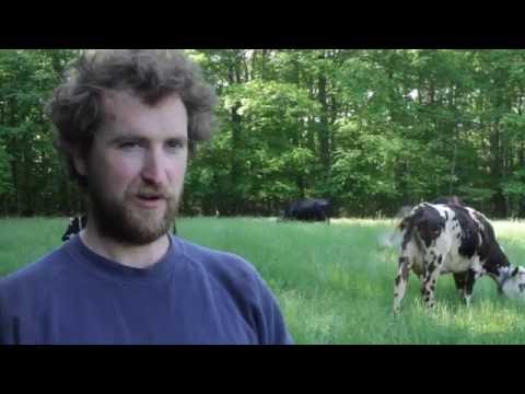 download lagu mp3 mp4 Blue Hill Farm Ma, download lagu Blue Hill Farm Ma gratis, unduh video klip Blue Hill Farm Ma