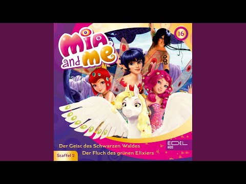 Der Geist des Schwarzen Waldes - Teil 2