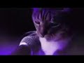 Bongo Cat See You Again Unofficial Music Video