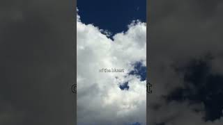 Download lagu sweet child of mine - gunz'n roses #lyrics #fyp #rockmusic #gunsnroses mp3