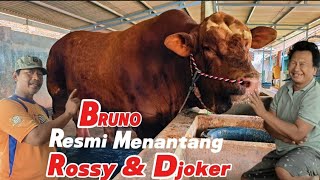 Download lagu BRUNO‼️SAPI MONSTER SIAP TURUN DI KONTES TULUNGAGUNG 🔥🔥🔥 mp3