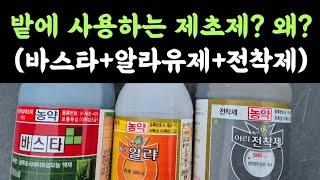 밭에 사용하는 제초제? 왜?