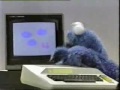 Sesame St Cookie Monster Computer Cookies