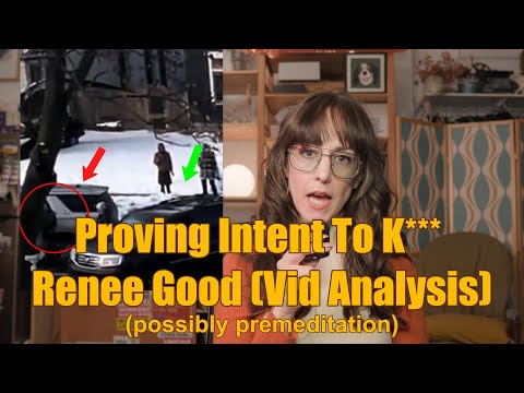 NEW ANGLES: Proving Intent to K*** Renee Good (Analysis)