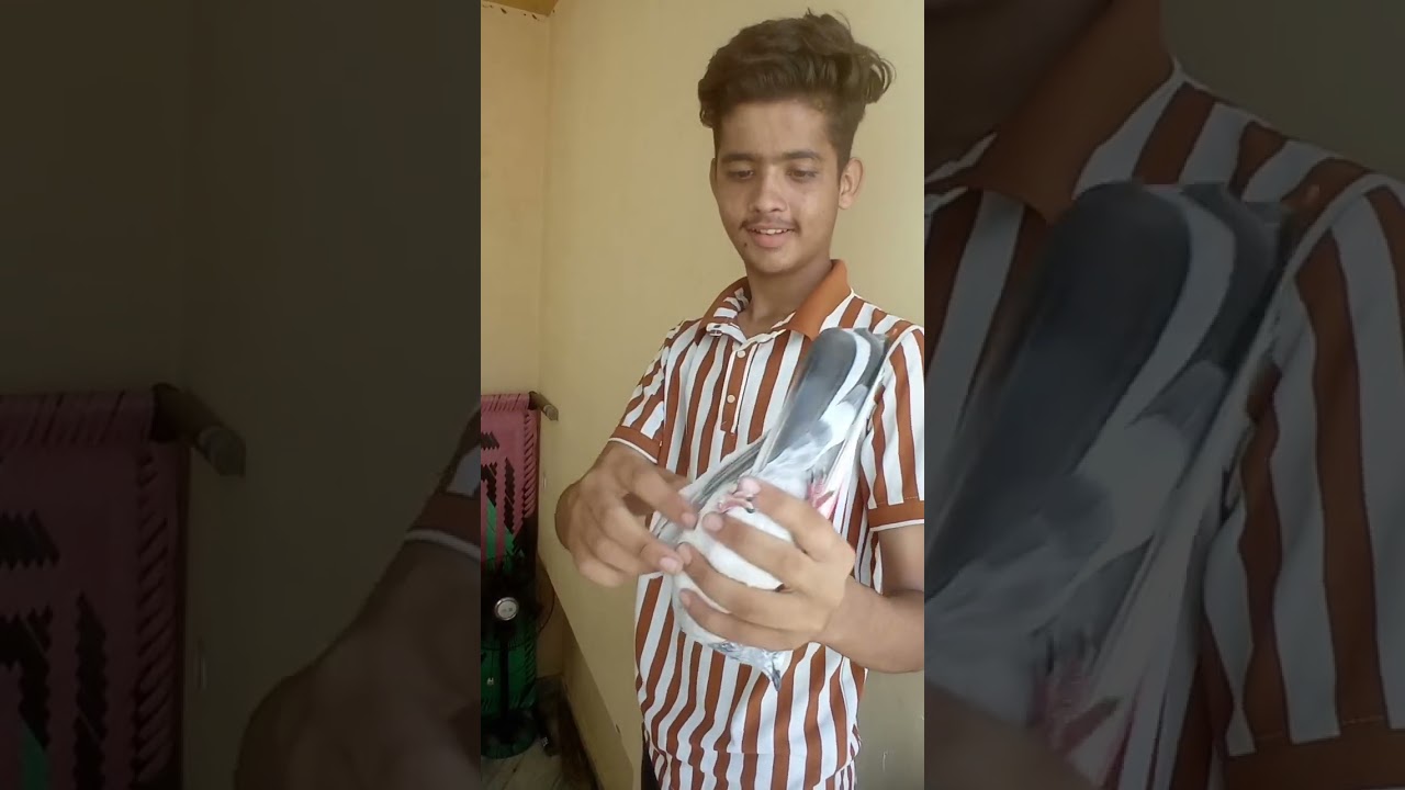 Yah kabutar Pakda hai