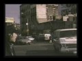The Call of the Wild by David Byrne