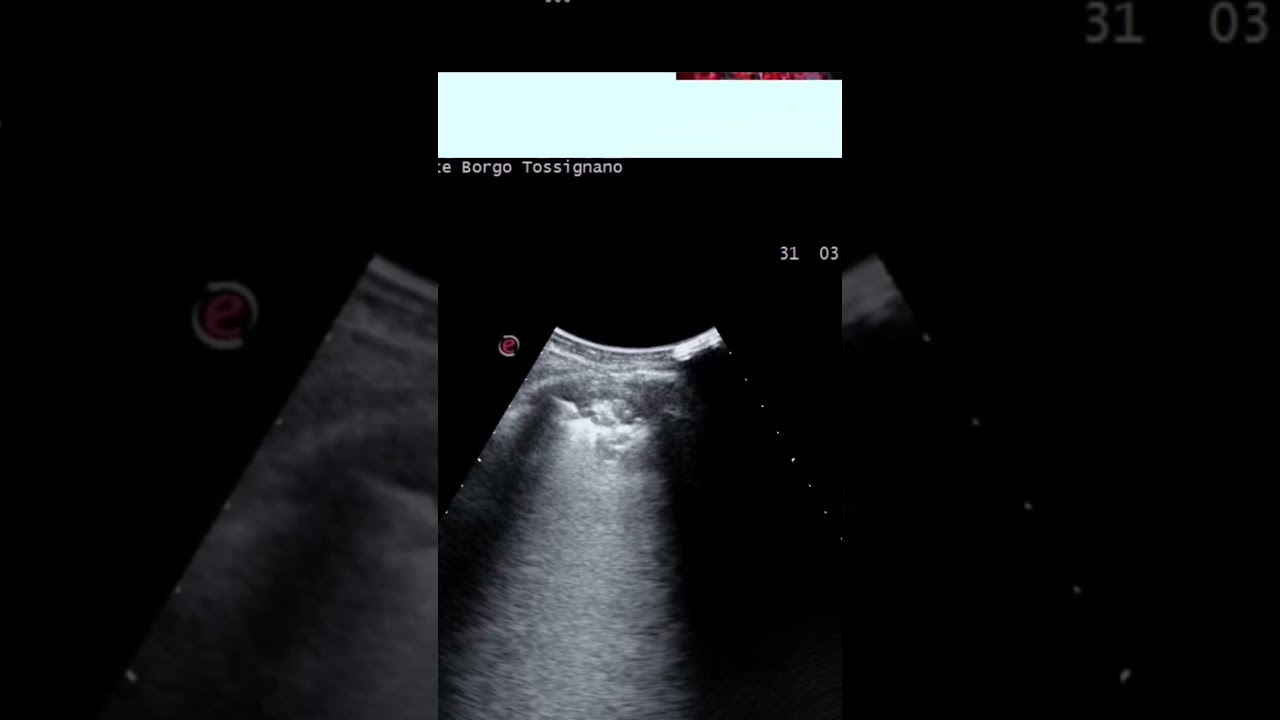 Roberto-Paolo Zambelli-31