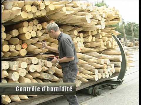 comment traiter bois douglas