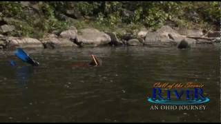 preview picture of video 'Snorkeling in Ohio on Scenic Rivers'