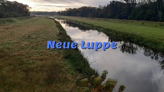 Neue Luppe