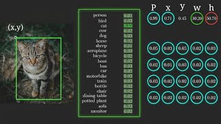 Let's Visualize How YOLO Works