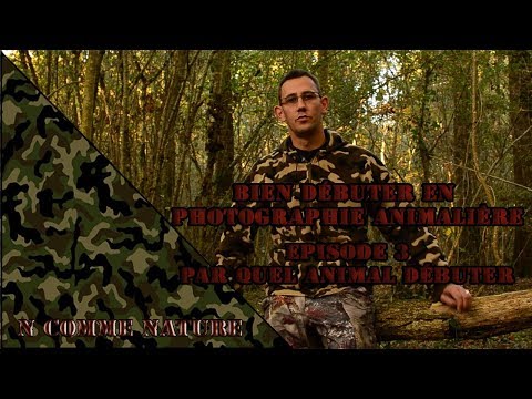 bien débuter en photographie animalière #3 par quel animal commencer