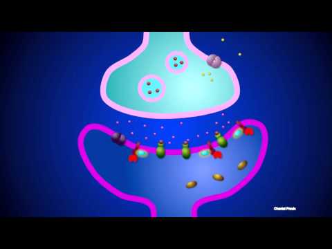 pourquoi la transmission du message nerveux est de nature chimique