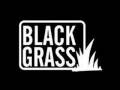 Black Grass Lucha Contra de la Injusticia 