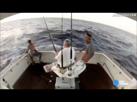 Marlin jumps into boat--man jumps out