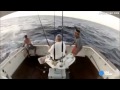 Marlin Jumps Into Boat Man Jumps Out