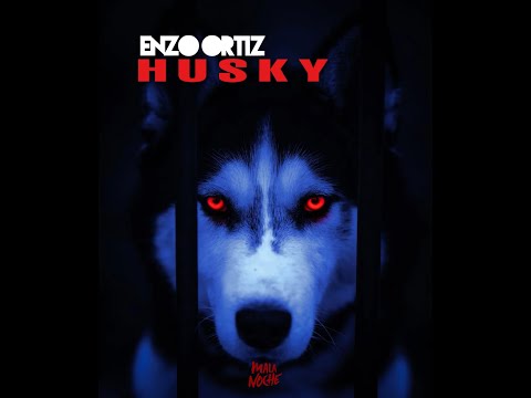 Enzo Ortiz - Husky (Official Video)