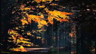 Ketil Bjornstad   Days in Paris  www keepvid com